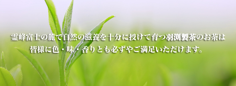 霊峰富士の麓で自然の滋養を十分に授けて育つ羽渕製茶のお茶は皆様に色・味・香りとも必ずやご満足いただけます
